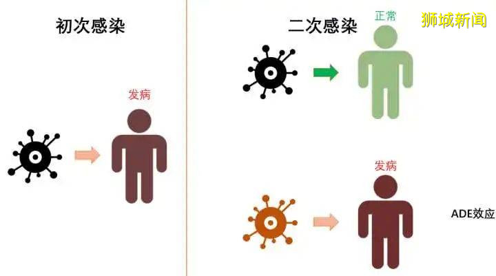 新加坡大爆發的登革熱,是種什麽病