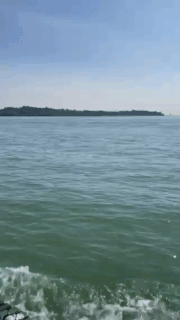 榴梿、野豬、猴子、各種魚蟹……體驗“新加坡最後的農村”