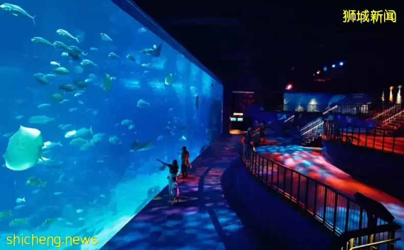 新生攻略 新加坡必打卡的十大景點介紹