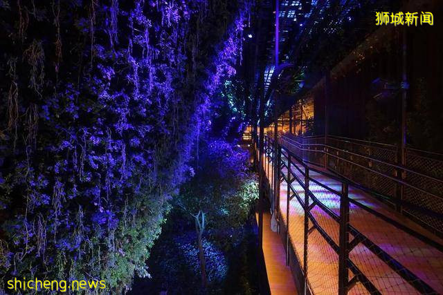 迪拜世博会新加坡展馆：自然之城，展示自然、培育、未来 