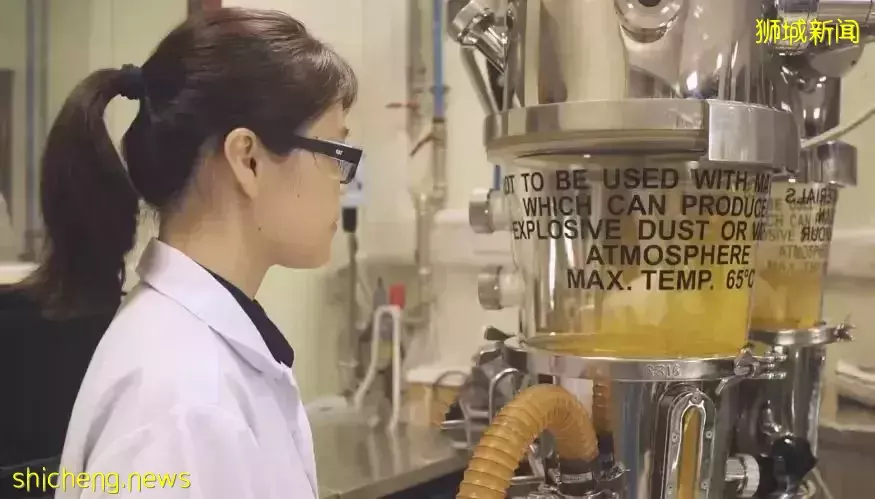 23Fall提前批申请通道开放！新国大理学院硕士全面招生中