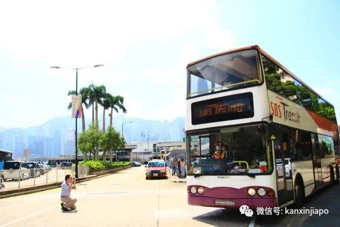 亮了！新加坡巴士“混入”香港，引行人纷纷抢拍