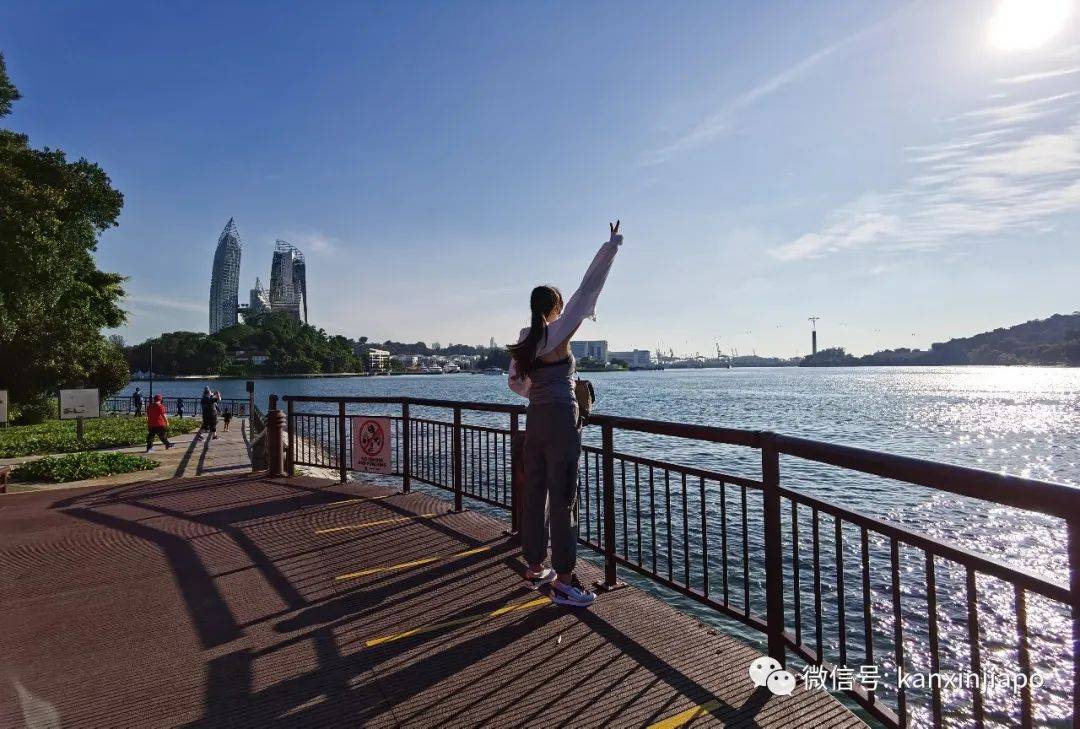 渐渐发现,新加坡小贩中心的美好