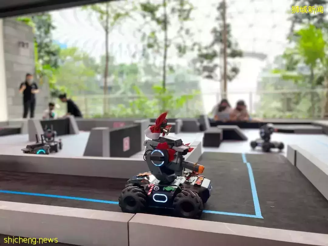 爆火的机场1夜露营又来啦！仅$78还送河川动物园门票