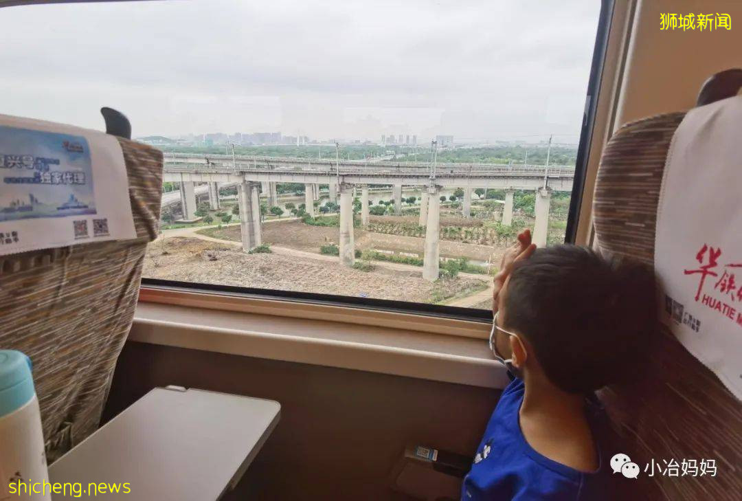 結束11年新加坡的生活!我懷孕帶著5歲的娃回了中國又移民澳洲!這瘋狂又神奇的旅程