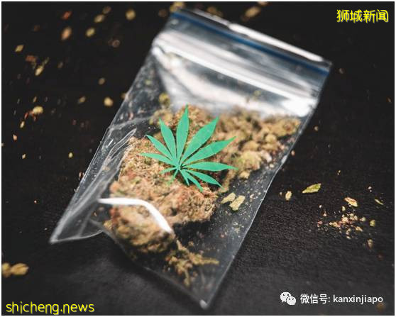 大麻、K粉、爱他死,新加坡雷霆扫毒,三男二女被捕