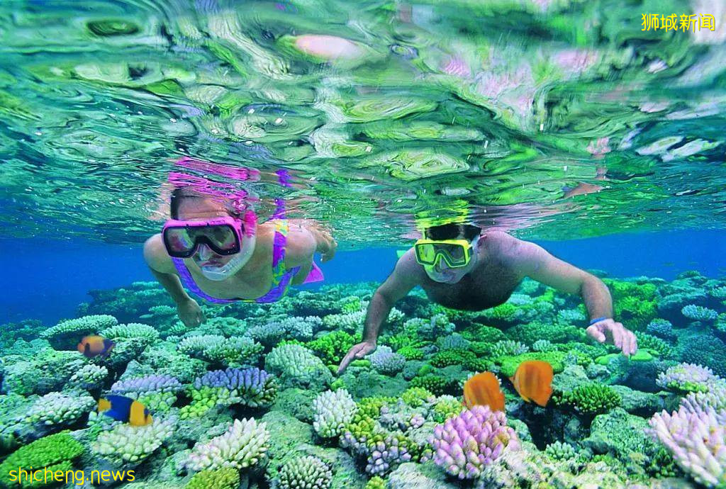 新加坡周边12个海岛推荐！无需签证，说走就走