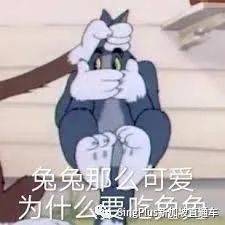 新加坡的野生动物也太不好惹了吧