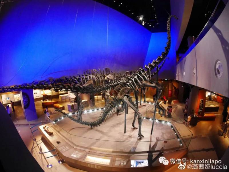 終于可以“出國”了?新加坡原來還有這些秘密基地