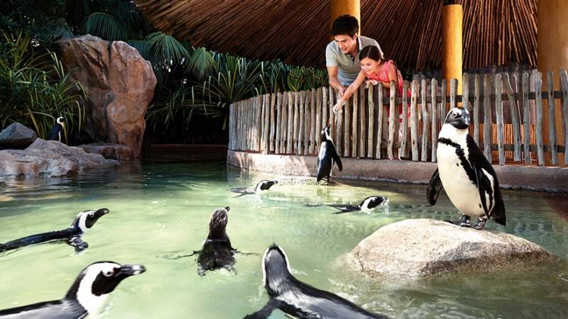 本周折扣！耐克6折，圣淘沙缆车3新币，电商开启双十大促