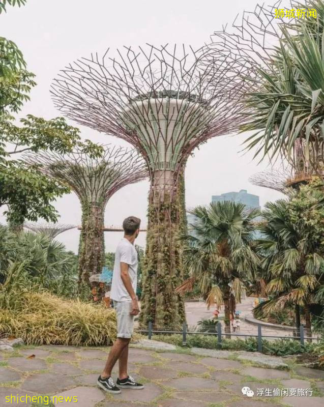 新加坡拍照聖地!