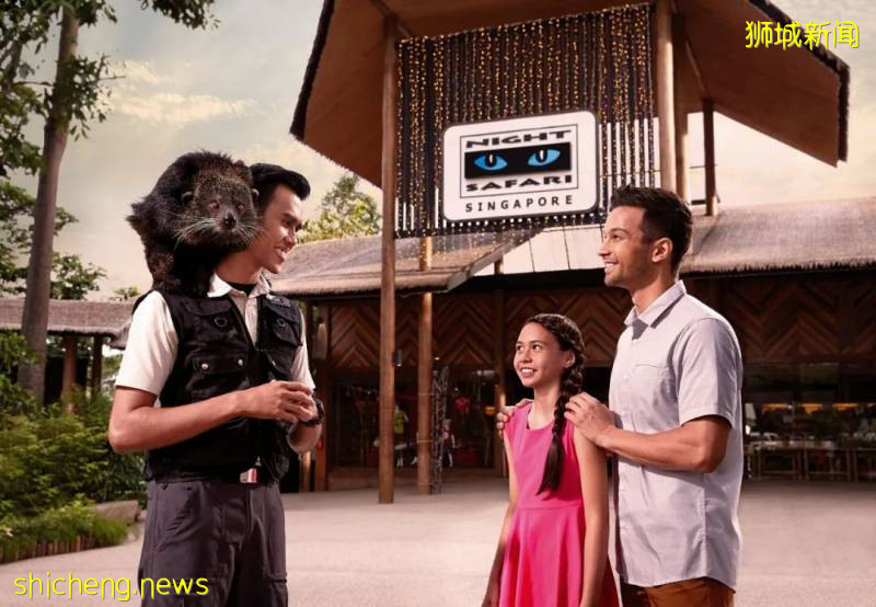 新加坡夜间野生动物园，值得一走