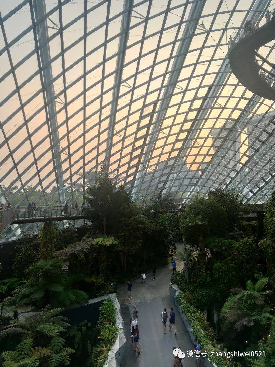 新加坡遊記系列 常規又不常規的獅城遊覽