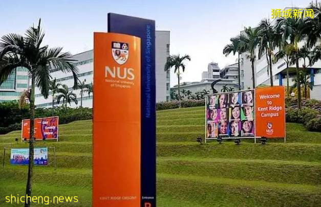 在新加坡，讓孩子找到屬于自己的人生跑道