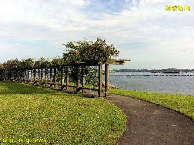 “花園城市”背後的故事，看完才知道新加坡這個小島國有多努力