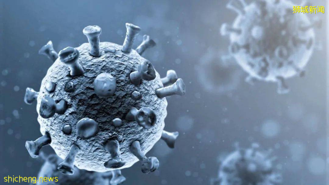 前天输入13例，昨天又250游客抵新！VTL游客确诊后费用谁给