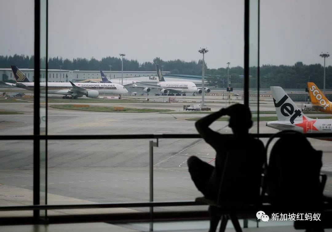 新加坡民众对旅游泡泡计划：既期待又有点怕怕