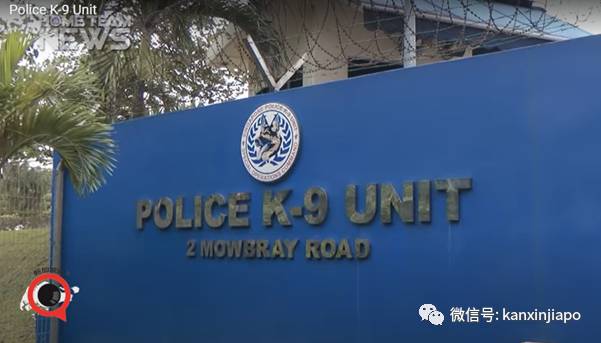 新增食品厂感染群,3位中国籍客工确诊