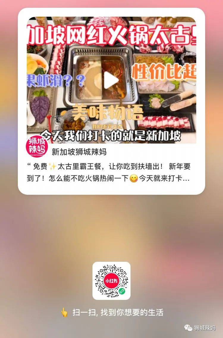 过瘾!网红咖啡厅、LV货柜、老字号烧烤……带你深挖最IN的新加坡