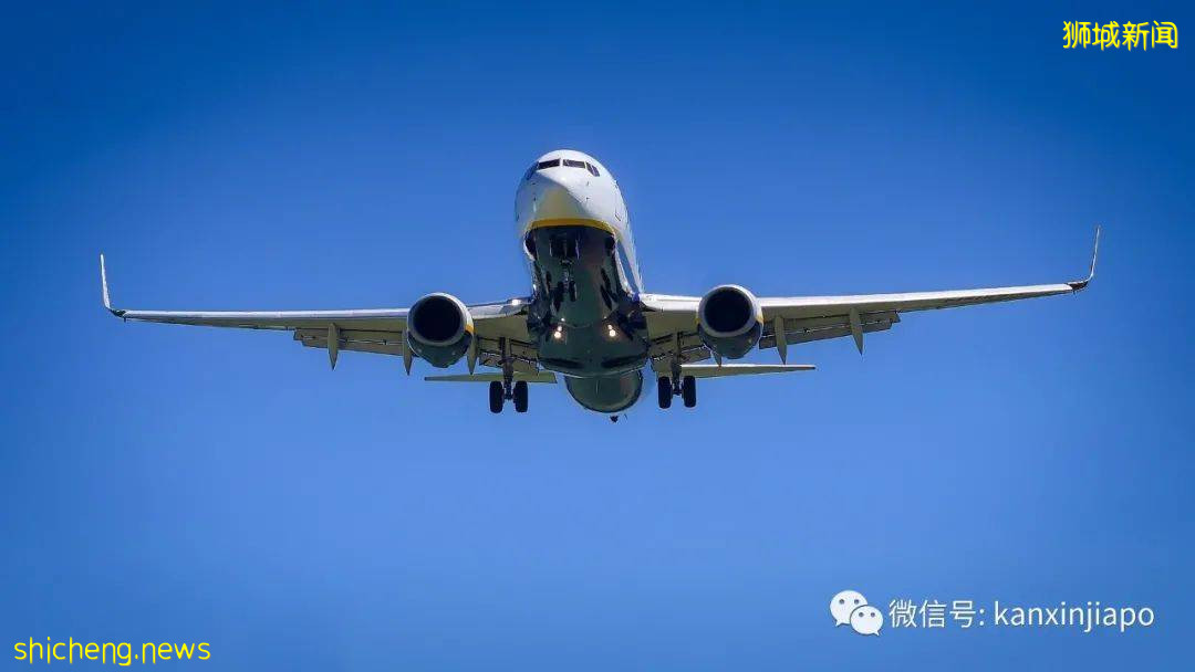 新加坡防疫新趋势:必须与病毒“共存”吗