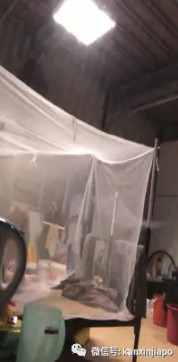 那些来新加坡的打工人,他们怎么样了