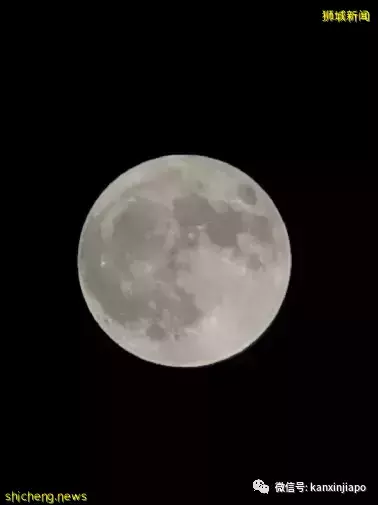 “​草莓月亮”登錄新加坡，今晚8點半以前迎來圓滿時刻