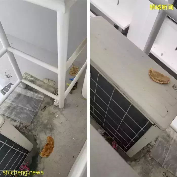 無語！在新加坡碰上這7種奇葩鄰居太倒黴！你經曆過嗎