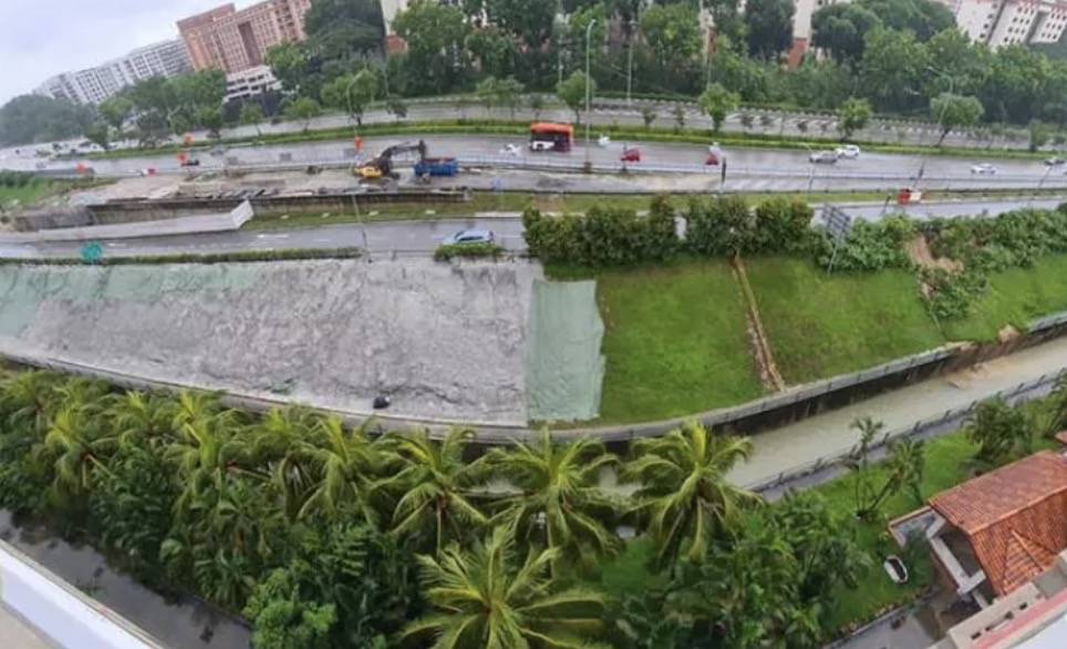 罕見!新加坡聖淘沙這條河變成了粉色,驚現大批死魚!39年創記錄暴雨太作了