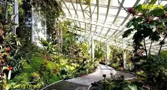 新加坡紙幣上竟印藏了這麽多風景