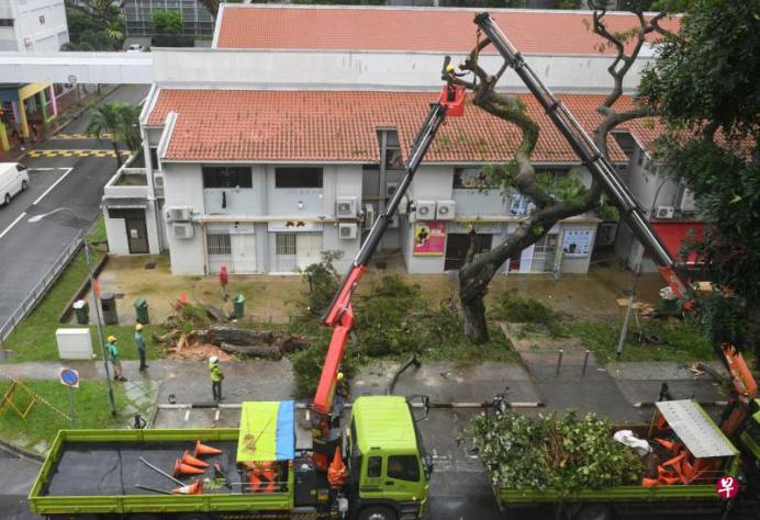 一夜入冬!新加坡30年來最潮一月!大雨還要持續多久