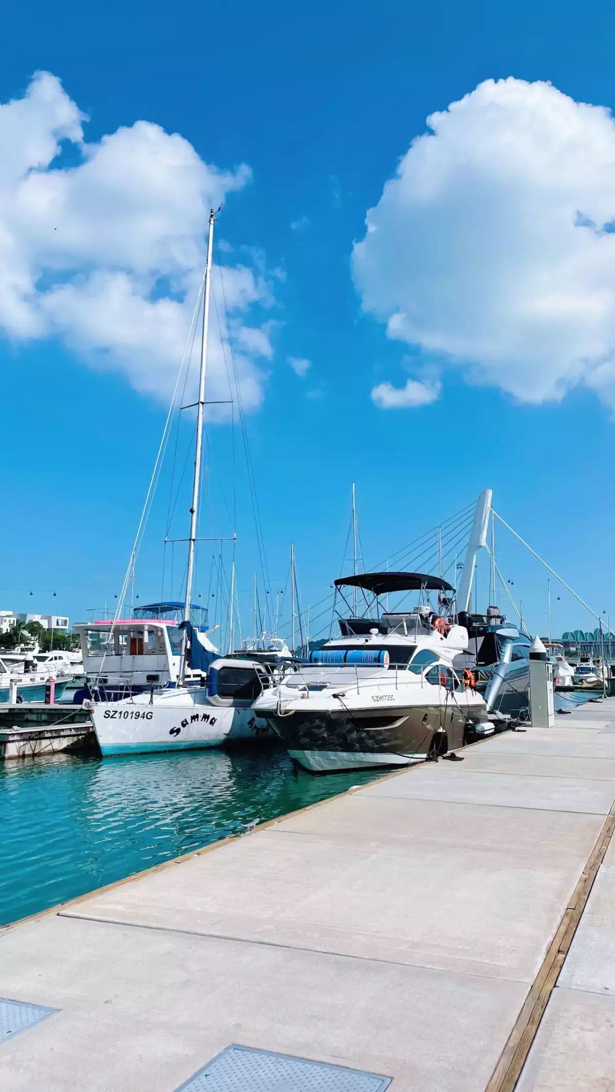 刺激！新加坡最酷的海上运动，1小时乘海军飞艇游5个岛，感觉爽飞了