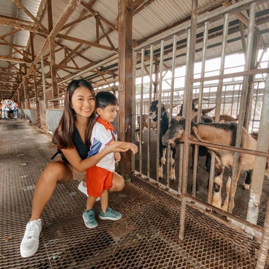 长周末特辑😎 新加坡文艺清新小农场,统统入场免费🆓 人烟稀少区 + 参观不收费