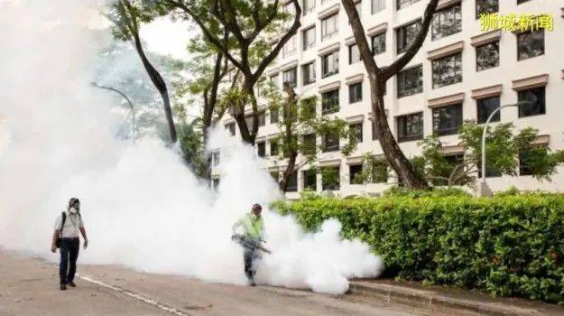 新加坡环境局：骨痛热症明年或仍严峻，政府分发防蚊包助民众抗击骨痛热