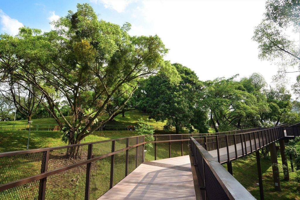 Bukit Batok全新游乐设施登场💥超长滑梯+绳索隧道+跑步栈道,大小朋友玩翻天💯