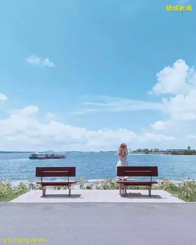 一起出外走走吧!盘点新加坡东海岸必打卡攻略🙌8大景点任你玩,更加接近大自然
