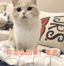 因爲疫情，他從新加坡知名銀行辭職，送起了外賣，日入200新幣