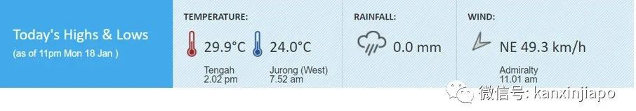 广告布被吹落，海水涌上岸！新加坡强风失速狂刮中