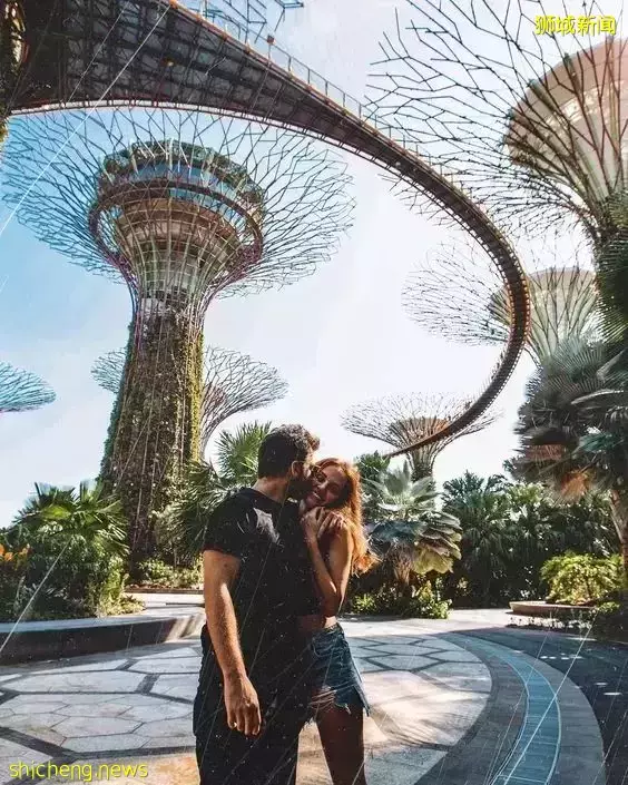 我勸你,千萬別來新加坡