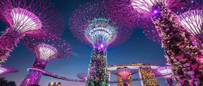 新加坡移民之就业移民EP