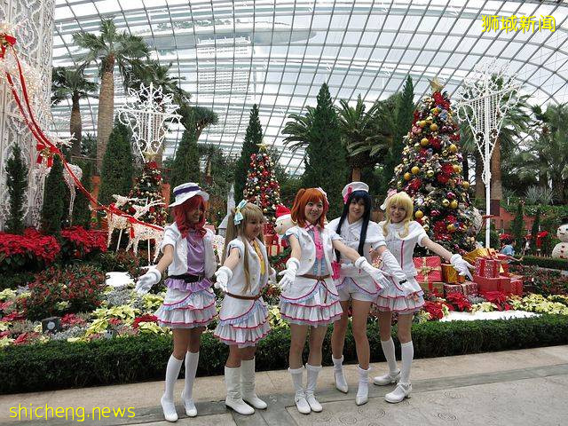 新加坡是個怎樣的國家