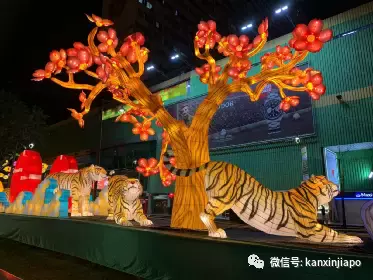 进入虎年开始倒计时,昨晚举行牛车水新年亮灯仪式