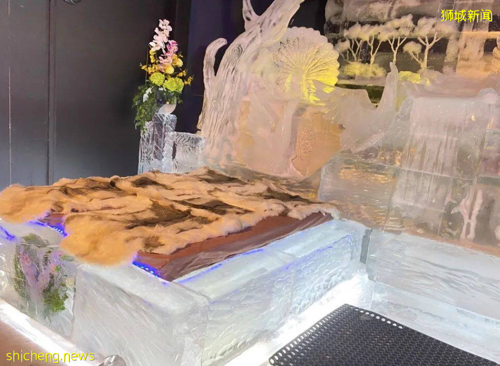 本周折扣!夜间动物园6折、特仑苏买1送1、玩具展销、浪漫冰雕展