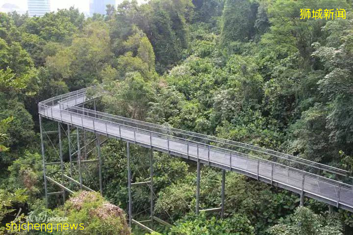 新加坡是怎样一步步成为“花园城市”的!