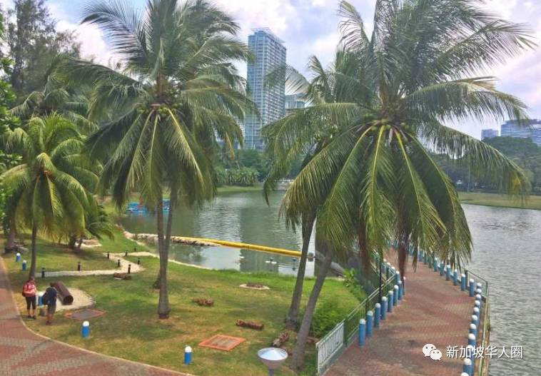 可怕!新加坡男子诱骗13岁少女公园施暴,两小时遭6次强X和性侵