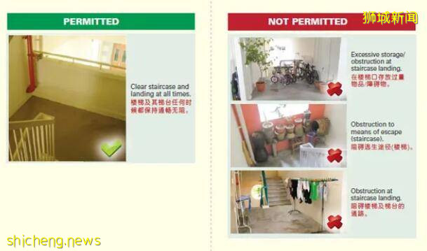 新加坡組屋變“客廳”？有點格局！養雞場、小叢林、毛片場