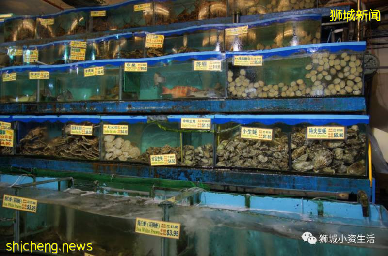 龙虾喂面燕窝鱼翅鲍鱼套餐才99元!这家靠海的海鲜馆也太好吃了吧