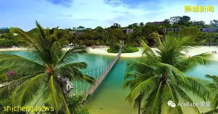 新加坡五一遊玩攻略,這屆媽媽都去哪裏遛娃