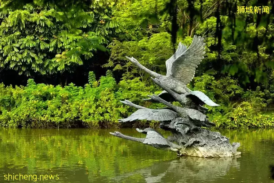 免費！新加坡排名第一的“家庭遊樂場”，竟然有這麽多項目我還沒玩過