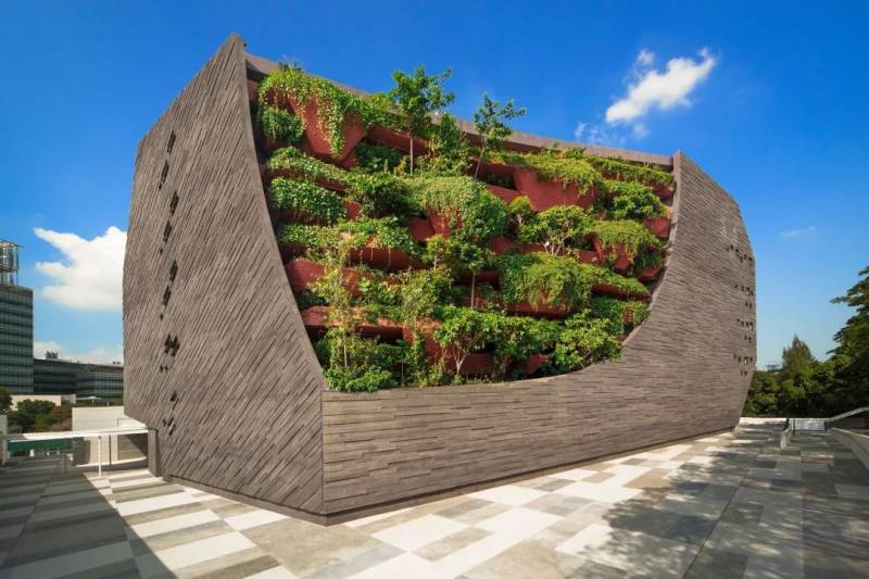 国大李光前自然历史博物馆成立五周年,推出线上专页及更多线上活动