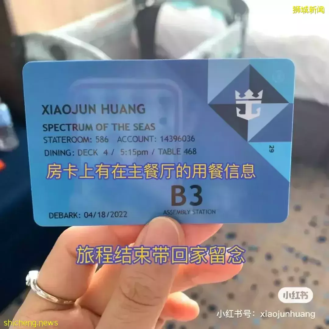 羡慕!一家四口5天4夜坐豪华邮轮免费,攀岩、冲浪、蹦极、跳伞,数不尽的美食和表演